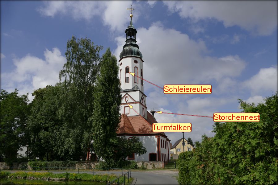 V002 Kirche Otterwisch